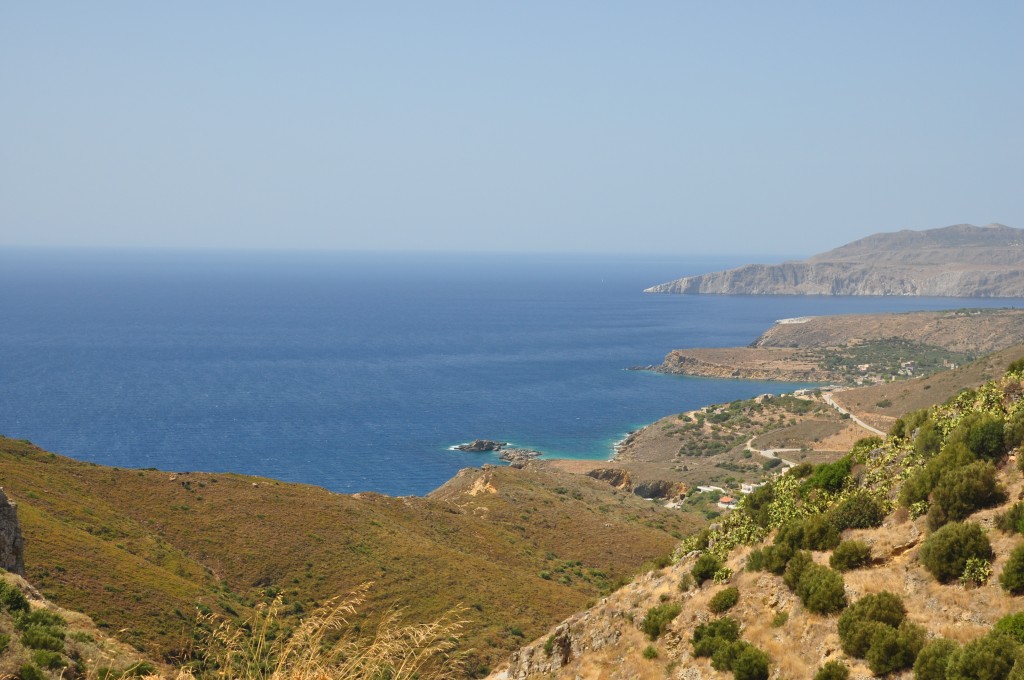 DSC_1045